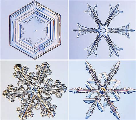 雪花的結晶體是屬於哪一種美的形式原理原則？ 運氣差如何改運